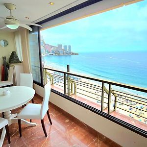 Primera Linea De Playa- First Line Beach